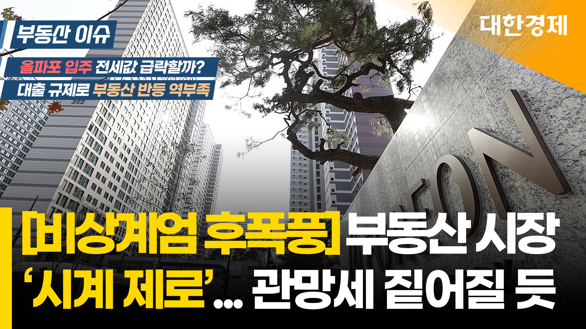 동영상이미지