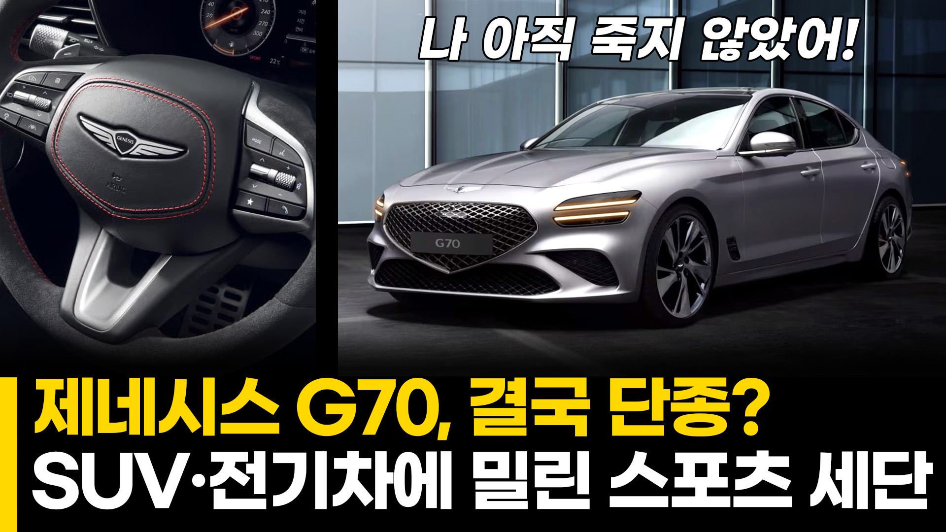 동영상이미지